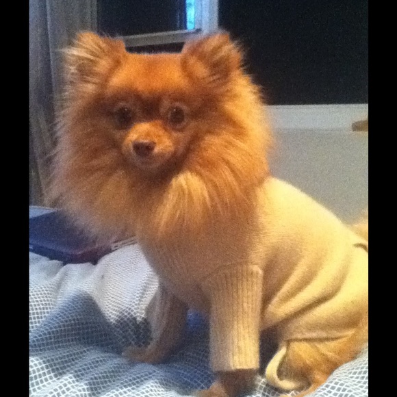 Meet your Posher, Kathryn!!!!! - Picture 2 of 3