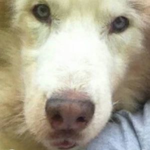 Meet your Posher, Angie