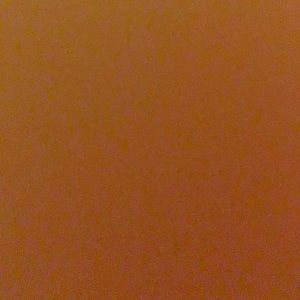 Meet your Posher, Elaine