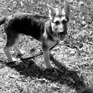 Meet your Posher, Christy