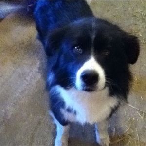 Meet your Posher, Arielle