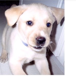 Meet your Posher, Judy