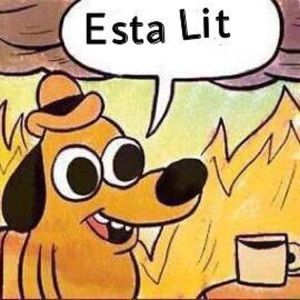 Meet your Posher, Sandy