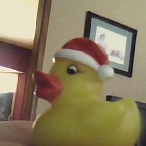 Meet your Posher, Sally