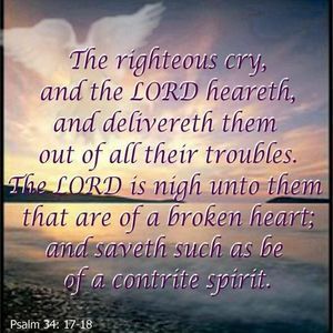 Meet your Posher, Eden