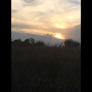 Meet your Posher, Tanner