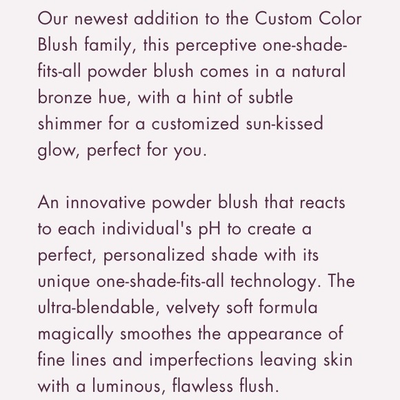 Stila Bronze Color Blush Bronzer - Picture 4 of 4