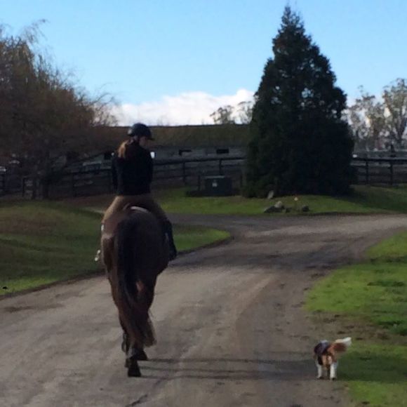 Meet your Posher, Ashley - Picture 1 of 1