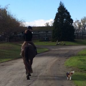 Meet your Posher, Ashley