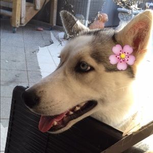 Meet your Posher, Christina