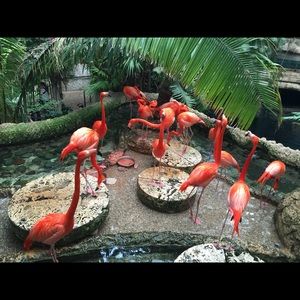 Meet your Posher, Hanh