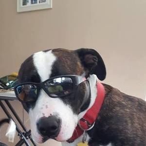 Meet your Posher, Tonia