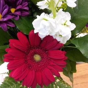 Meet your Posher, Renee