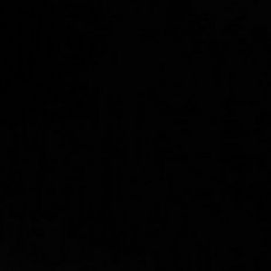 Meet your Posher, Aaliyah