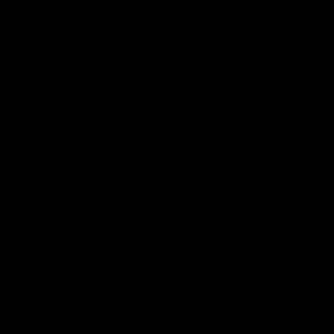 Meet your Posher, Bailey