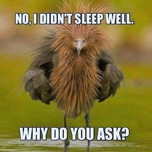 Meet your Posher, Meagan