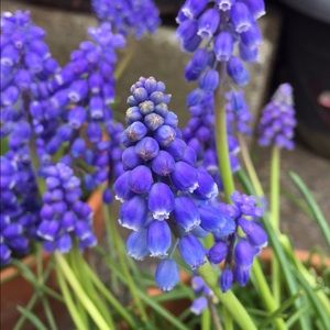 Meet your Posher, Kyle