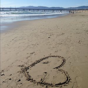 Meet your Posher, Allie