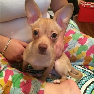 Meet your Posher, Kay