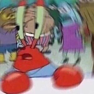 Meet your Posher, Maya