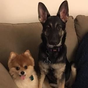 Meet your Posher, Mary