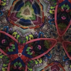 Meet your Posher, Aniyah