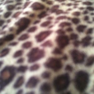 Meet your Posher, Glendaliz