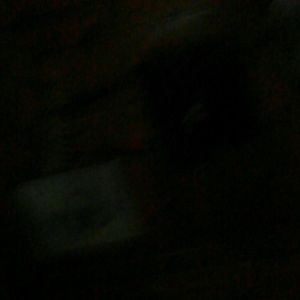 Meet your Posher, Diounea