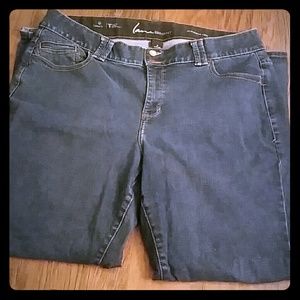 Lane Bryant straight leg Jeans