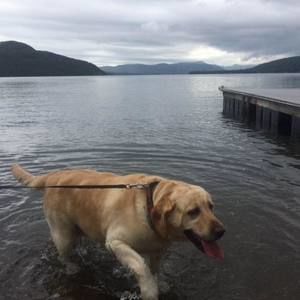 Meet your Posher, Shelly