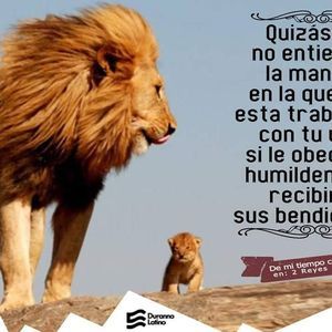 Meet your Posher, Edith