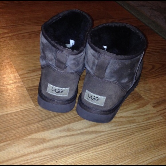 Dark Brown Mini Uggs
