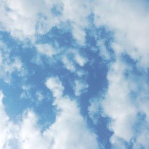 Meet your Posher, Lucy