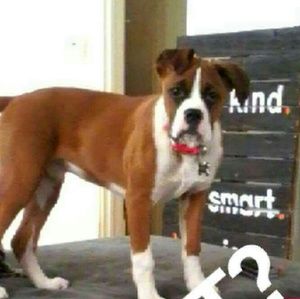 Meet your Posher, Grace