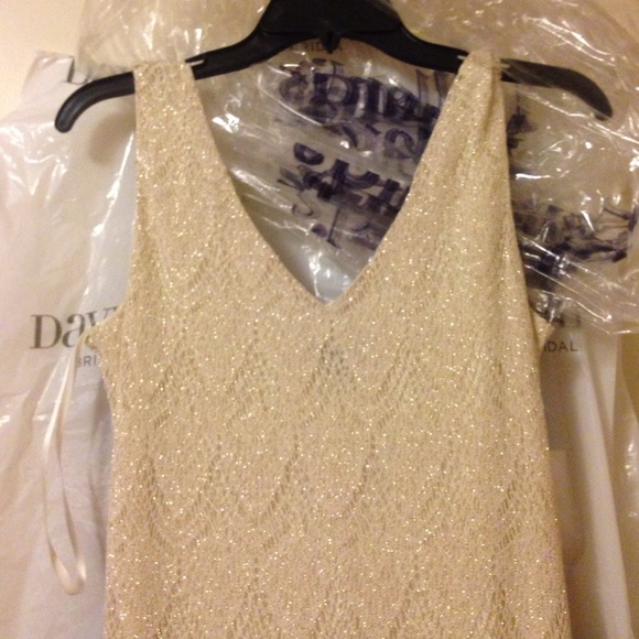 A champagne colored gatspy themed dress. - Picture 3 of 4