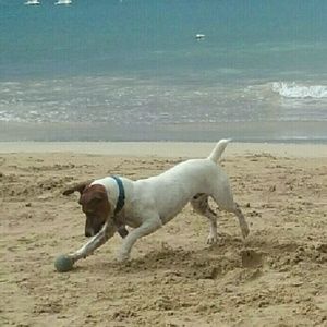 Meet your Posher, Deborah