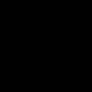 Meet your Posher, Samia