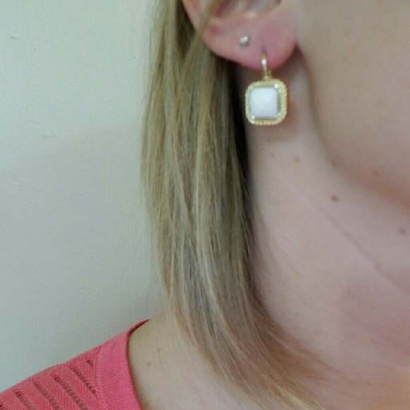 Elegant Jewel Earrings - Picture 3 of 3