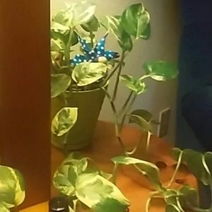 Meet your Posher, Ruth