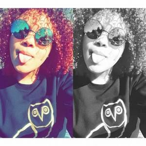 Meet your Posher, Chitara