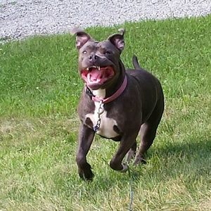 Meet your Posher, Kimberly