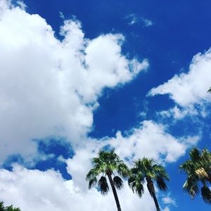 Meet your Posher, Dee-dee