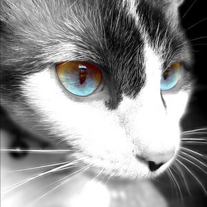 Meet your Posher, Jocelyn