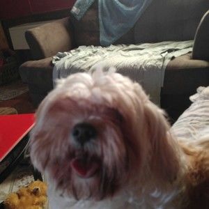 Meet your Posher, Lisa