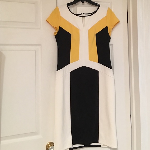 Ellen Tracy Dress