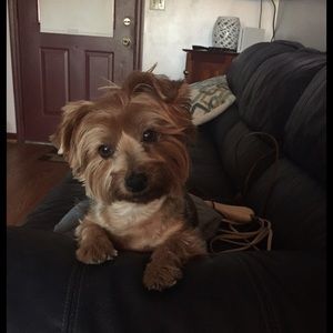 Meet your Posher, Barbara