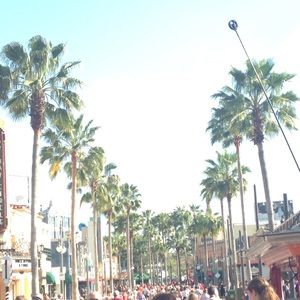 Meet your Posher, Lena