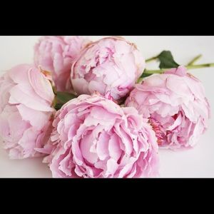 Meet your Posher, Estela