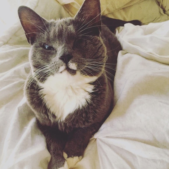 Meet your Posher, Jessica - Picture 4 of 4