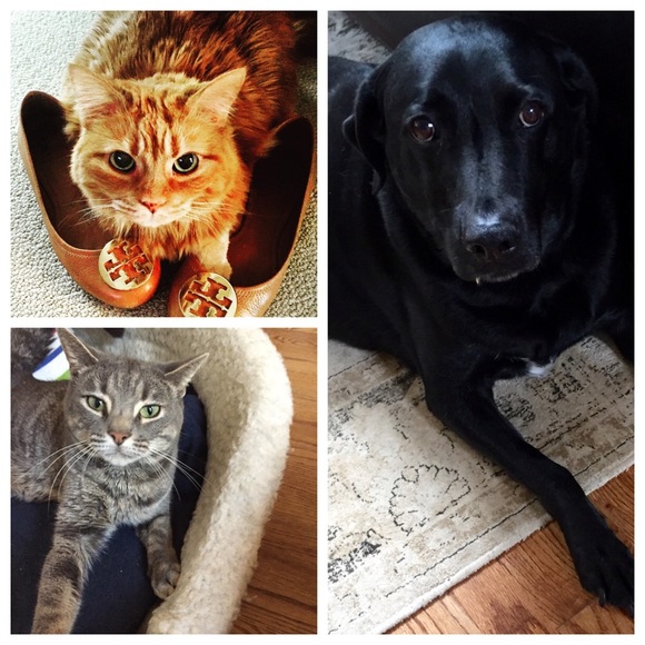 Meet your Posher, Jessica - Picture 3 of 4